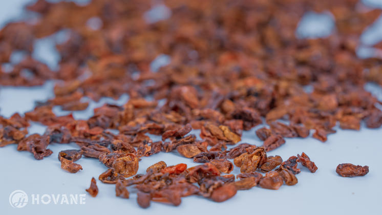 Raw material of Cornus officinalis extract: dried Cornus officinalis fruit.