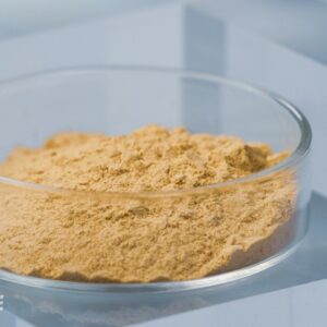 Product image of 98% 2,3,5,4′-THSG. The product is in light yellow powder form.