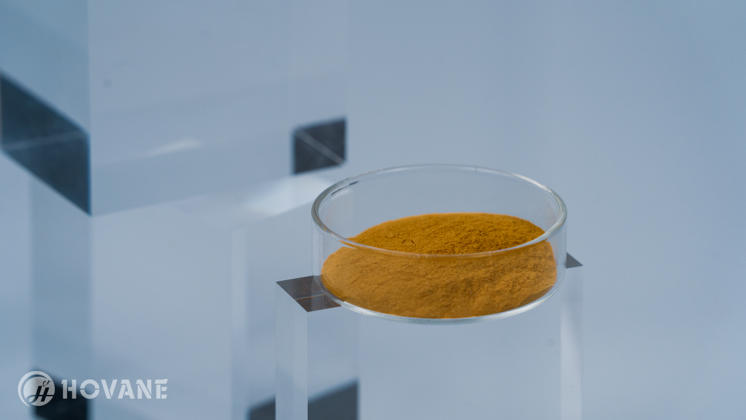 Salvia rosmarinus (Rosemary) Extract - Image 2