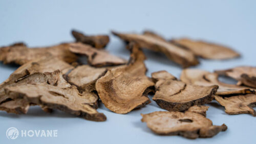 Paeonia lactiflora (White Peony) Root Extract - Image 3