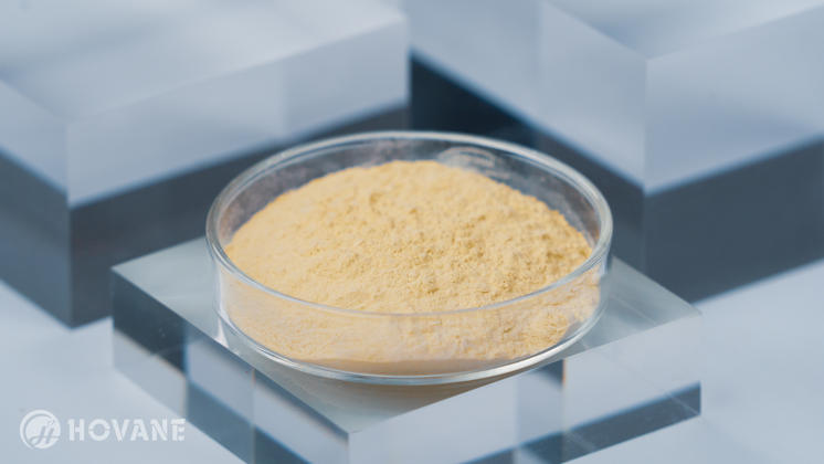 Cape Jasmine Extract - Image 2